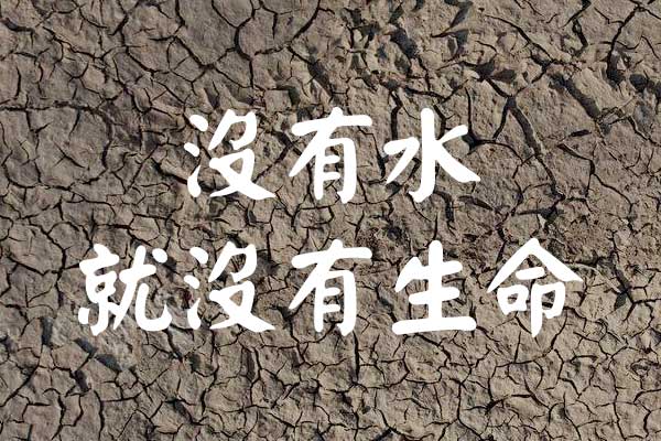 2023111002092379.jpg 刻石录颜体